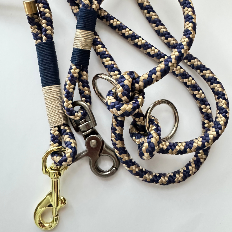 Frauchens Lieblingsstück